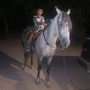 Meet your Posher, Felix